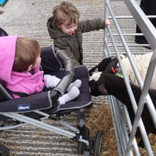 Fishers Mobile Farm visit to Sarah's Ark Nursery, Leyland